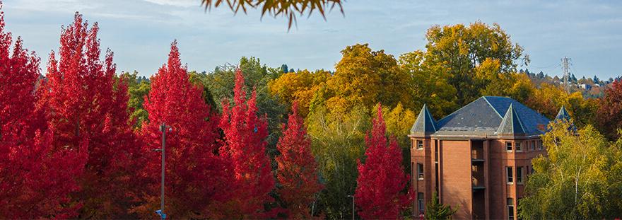 秋天的亚历山大大厅长着鲜红的树